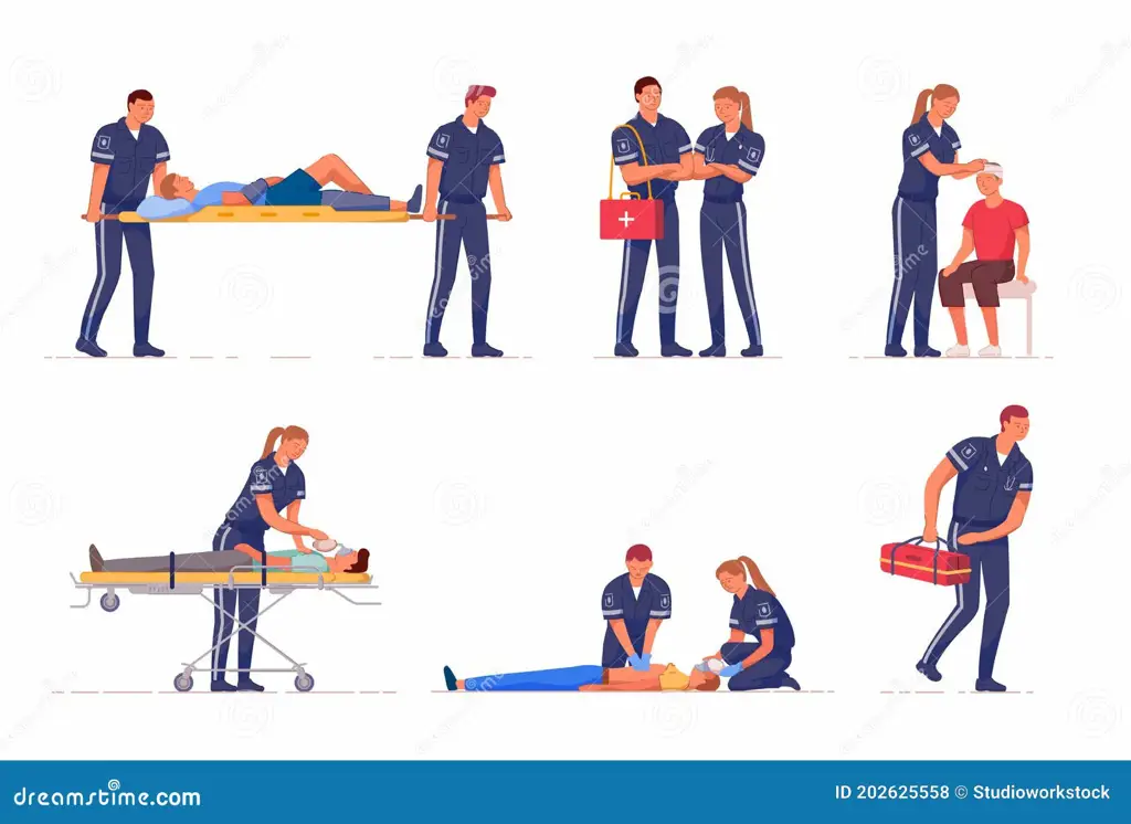 Gambar tim penyelamat bekerja sama dalam sebuah misi Gambar tim penyelamat bekerja sama