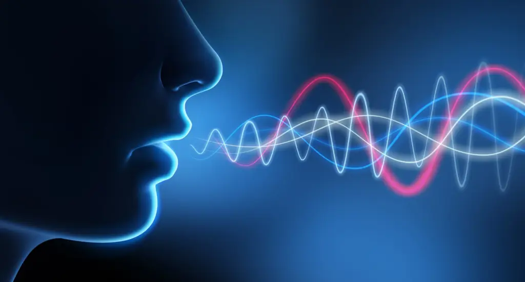 voice 4